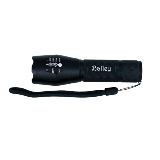 Promotional Trekk 300 Lumens Torches Torch Branded